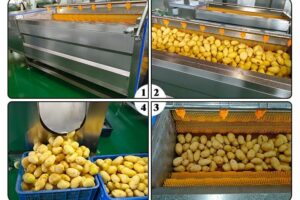 Máquina para limpar e descascar batatas