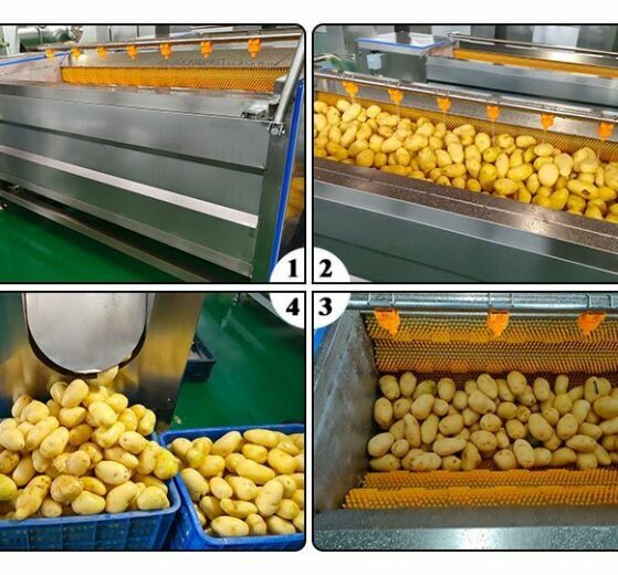 Máquina para limpar e descascar batatas