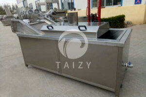 Vegetable blanching machine (6)