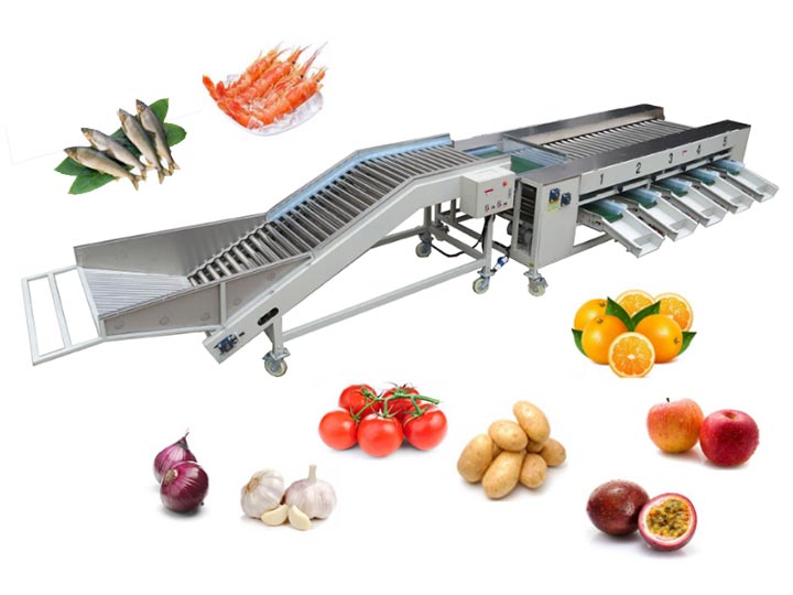 Fruit vegetable grading machine