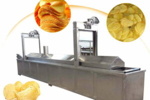 Industrial continuous chips fryer