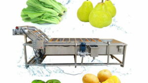 industrial fruit and vegetable washing cleaning machine