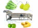 Industrial fruit and vegetable washing cleaning machine