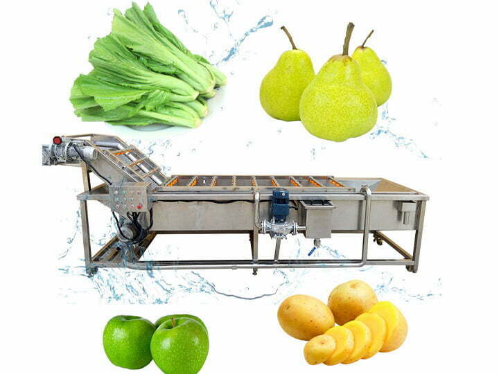 Fruit and Vegetable Brush Washing Machine - IBC MACHINE