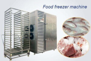 Freezer daging segar instan