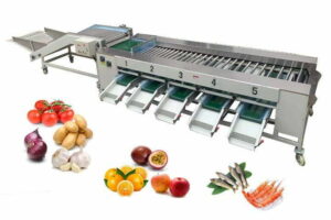 Roller onion potato grading machine