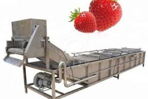 Fruit and vegetable washing machine