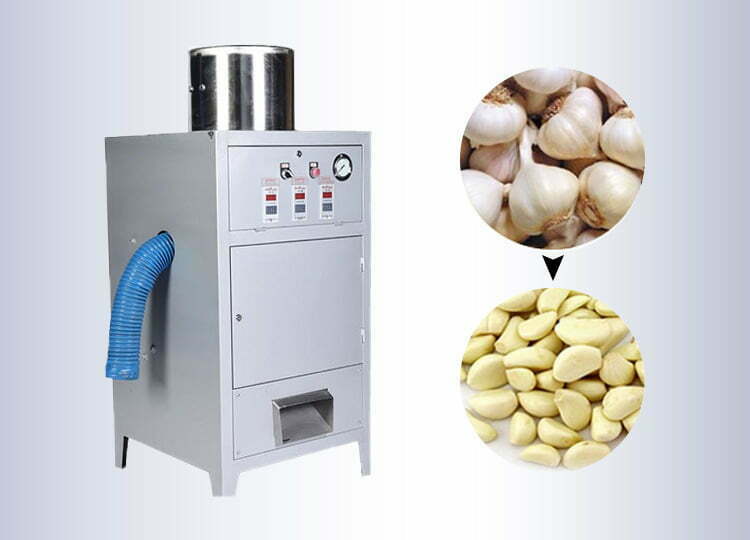 Remove Garlic Clove Skin by Automatic Garlic Peeling Machine