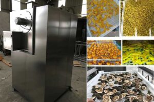 Máquina industrial de secagem de alimentos com ar quente