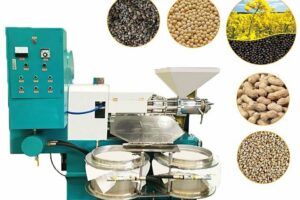 Screw oil press extractor machine