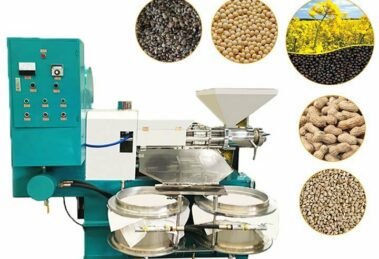 Screw oil press extractor machine