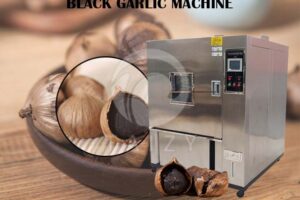 Black garlic fermenter