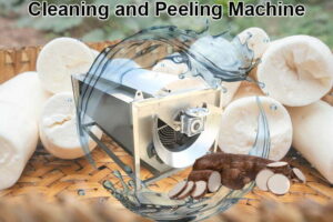 Cassava washing and peeling machine