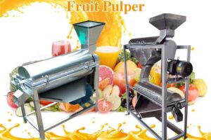 Fruit pulper 1