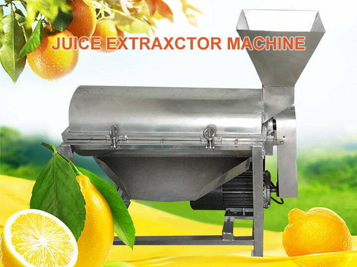 Fruit pulper machine