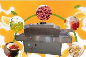 Food sterilizer