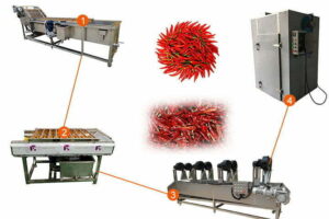 Automatic chili pepper washing and drying line