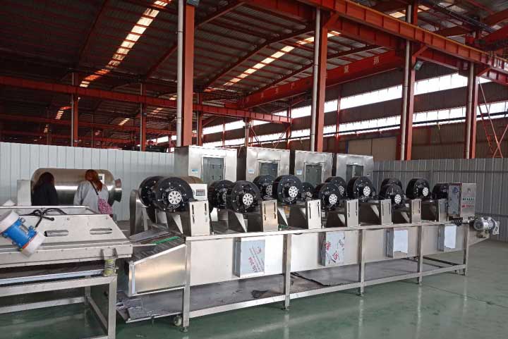 Dates air drying machine