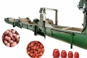 Industrial date palm processing machine