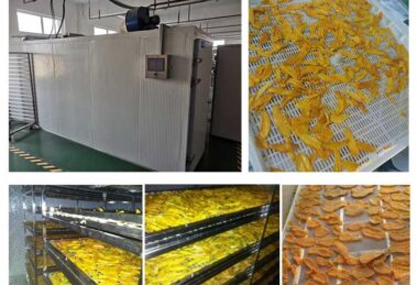 Industrial mango drying machine