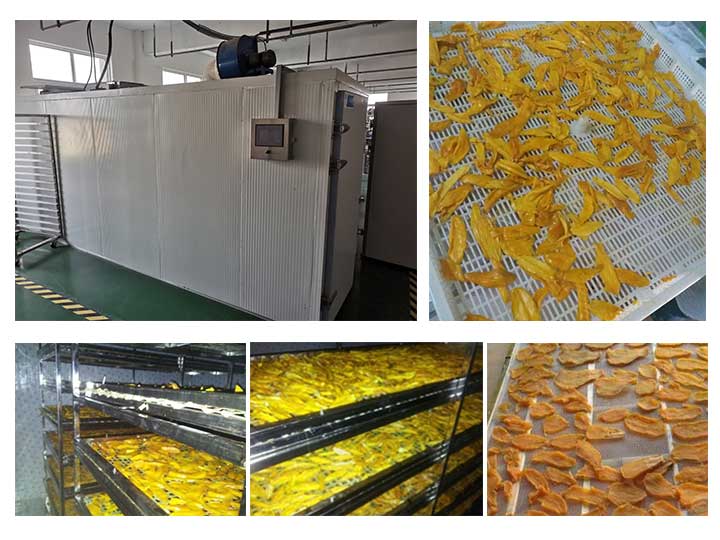 Commercial Mango Drying Machine with Good Sales