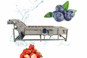 Industrial strawberry&blueberry washing machine