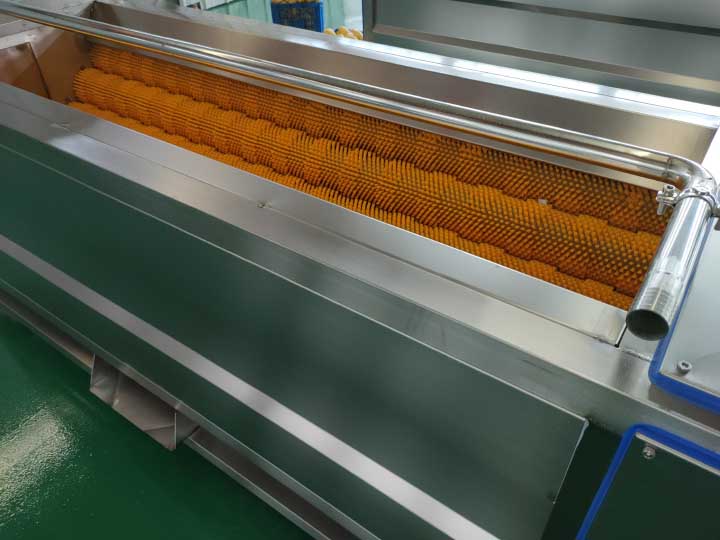 Stainless steel carrot washing machine