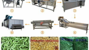 frozen peas processing line