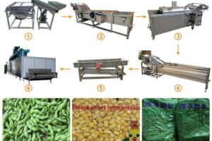 Frozen peas processing line