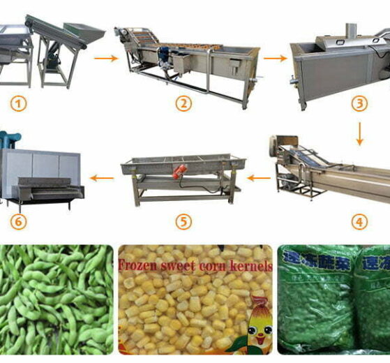 冷凍エンドウ豆加工ライン