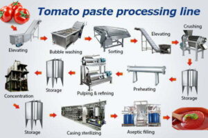 Produktionslinie für Tomatenmark