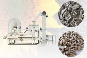 Sunflower seed shelling machine