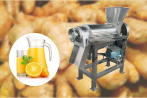 Commercial ginger juice extractor machine