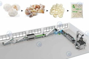 Garlic processing plant