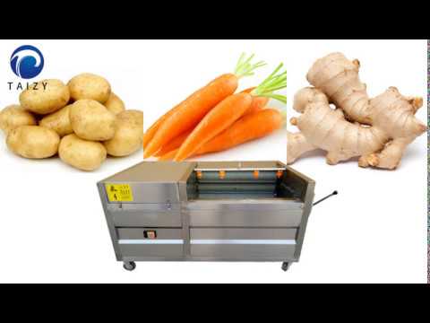 Ginger and Potatoes Washing Machine/Ginger Washer/Ginger Peeler Machine