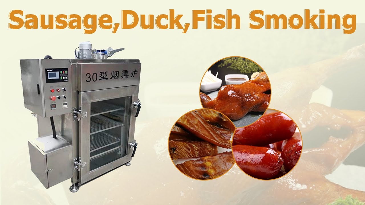 Meat smoking machine how to smoke sausage fish dried tofu