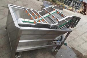 Fruit bubble washing machine for shipping