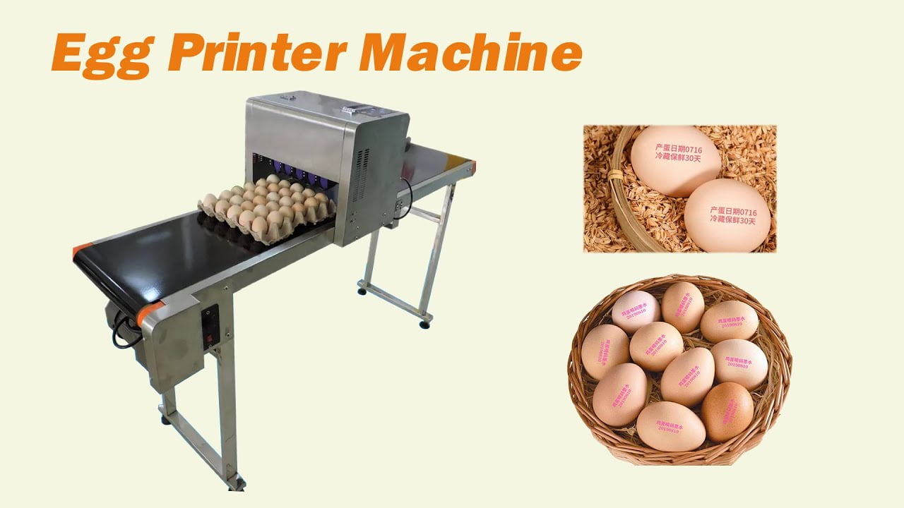 Farm Use Small Egg Washer Cleaner / Egg Cleaning Machine for Sale