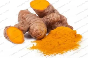 Broyage de poudre de curcuma